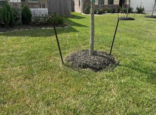 Joshua G.'s Flower Bed Weeding service result