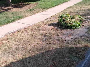 Patricia K.'s Flower Bed Weeding service result