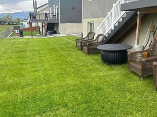 Kevin K.'s turf maintenance service result