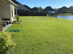 Karen W.'s lawn service service result