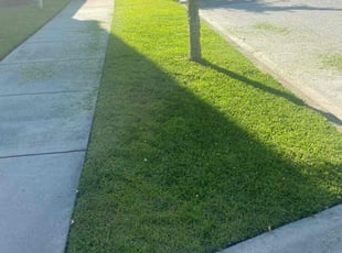 Bel D.'s grass maintenance service result