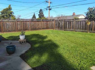 Jennivine C.'s grass maintenance service result