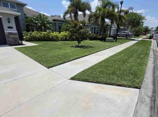 Adam C.'s turf maintenance service result