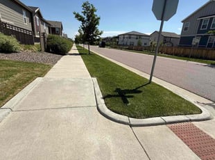 Guillermo M.'s lawn maintenance service result