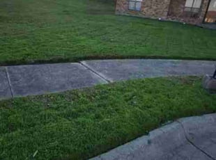 BILLY JOE S.'s turf maintenance service result