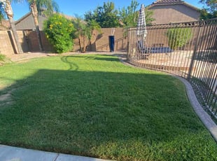 Cheryl K.'s lawn care service result