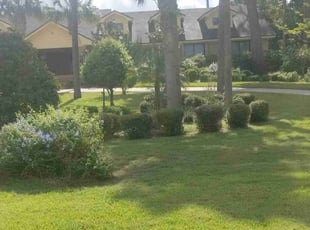 Robert S.'s grass cutting service result