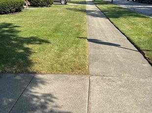 Lindsey B.'s grass maintenance service result