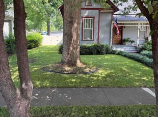Candy S.'s turf maintenance service result