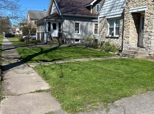 Walter H.'s lawn service service result
