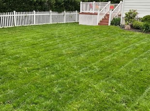 Curtis P.'s grass maintenance service result