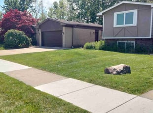 Michelle D.'s lawn service service result