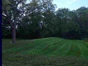 Rebecca H.'s turf care service result