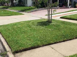Robert R.'s grass cutting service result