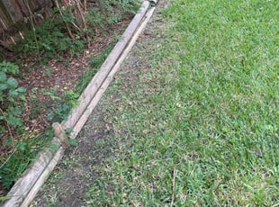 Brian B.'s lawn care services service result