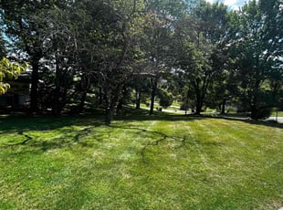 Thomas R.'s lawn maintenance service result