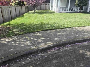 Nichole W.'s lawn care service result
