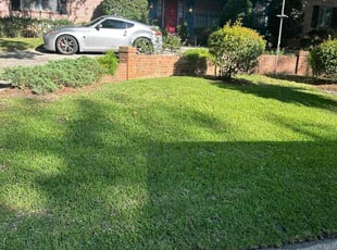 Rhonda M.'s turf maintenance service result