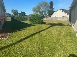Tammy T.'s turf maintenance service result