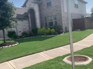 Tom A.'s grass maintenance service result