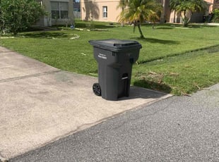 Brenda W.'s lawn service service result