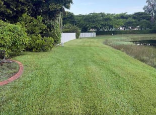 Sharrol G.'s grass cutting service result
