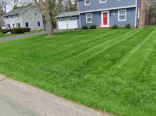 Sarah B.'s lawn care service result