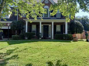 Ben L.'s Bush Trimming service result