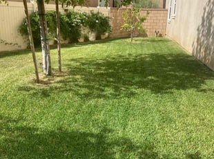 Michael B.'s lawn care services service result