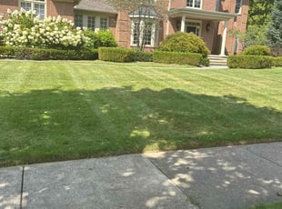Amanda G.'s lawn maintenance service result