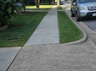 Sonya M.'s turf care service result