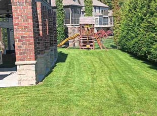 David P.'s turf maintenance service result