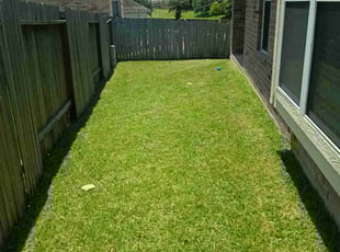 Stephen B.'s lawn care service result
