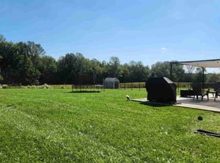Kam C.'s turf maintenance service result