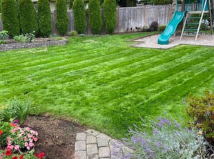 Seawon K.'s turf maintenance service result
