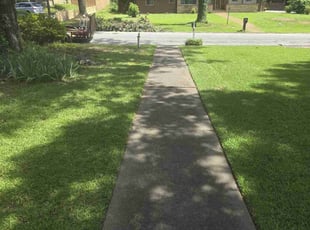 Alli M.'s turf care service result