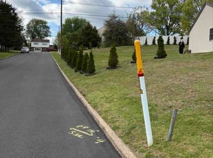 Natalie W.'s turf maintenance service result