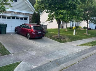 Benecy D.'s lawn maintenance service result