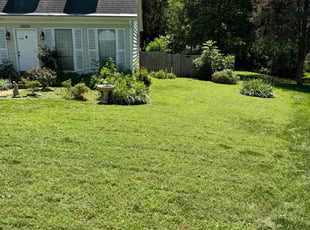 Terrance D.'s turf maintenance service result