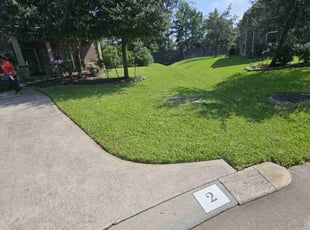 Tom M.'s turf maintenance service result