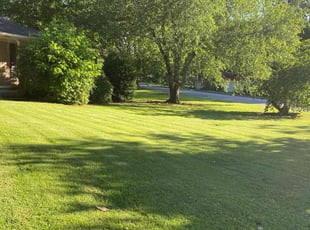 Ashley L.'s lawn maintenance service result