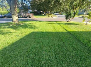 Jeff B.'s lawn care services service result