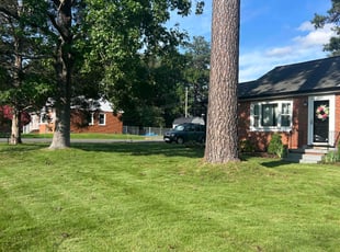 Pam T.'s turf care service result