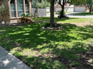 James V.'s lawn service service result