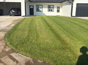 Mandy J.'s lawn service service result