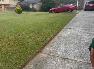 Kathy S.'s grass maintenance service result