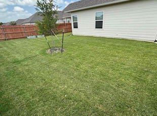 Sharon P.'s grass maintenance service result