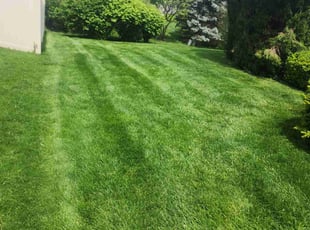 Cheryl T.'s lawn care services service result