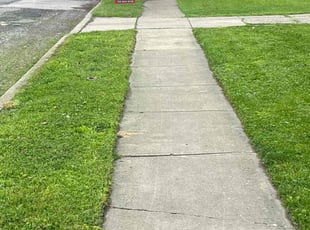 Daniel C.'s turf care service result