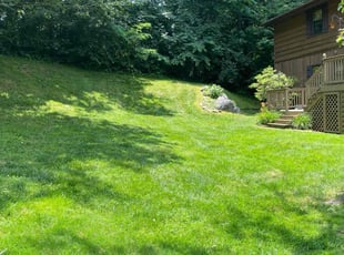 Mike G.'s grass cutting service result
